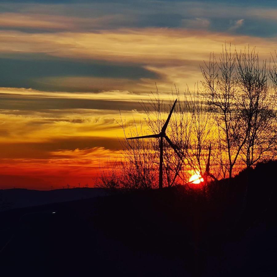 Cardenha Da Bessada Βίλα Branda de Santo António Εξωτερικό φωτογραφία