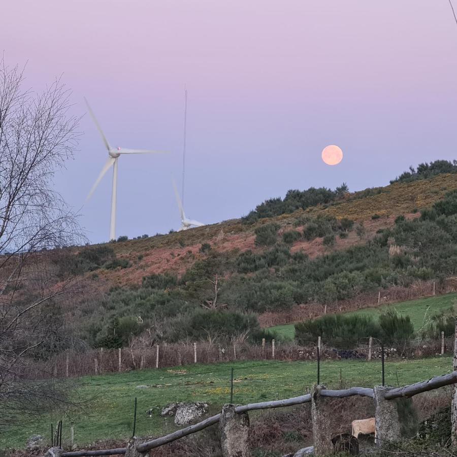 Cardenha Da Bessada Βίλα Branda de Santo António Εξωτερικό φωτογραφία